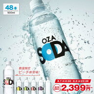 【最安値に挑戦中！2,399円〜】炭酸水 500ml 48本 (24本×2ケース) 送料無料※一部地域除く 強炭酸 炭酸 …