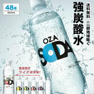 【炭酸水の最安値に挑戦中！】炭酸水 500ml 48本 (24本×2ケース) 送料無料※一部地域除く 強炭酸 炭酸 …