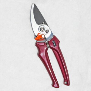 inT~jGNZg EX-4 JVXbhiԁj 205mmitbfHj