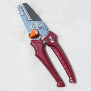 inT~jGNZg fB[X EX-5 JVXbhiԁj 195mmy؂^CvzitbfHj