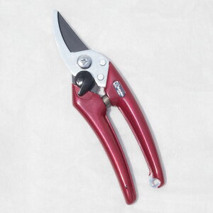 inT~jGNZg fB[X EX-6 JVXbhiԁj 180mmitbfHj