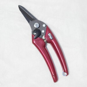 inT~jGNZg fB[XX EX-7 JVXbhiԁj 185mmitbfHj