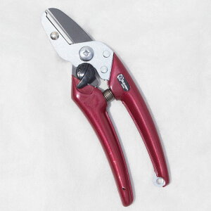 inT~jGNZg fB[X EX-8 JVXbhiԁj 175mmy؂^CvzitbfHj