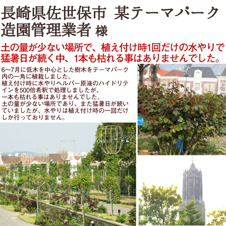 楽天市場 旅行 出張 不在 植物管理 水やり自動 らく 水やり当番 水やり回数半減 水やりヘルパー 500ml 植物用土壌保水剤 保湿材 ライフエコショップ 楽天市場店
