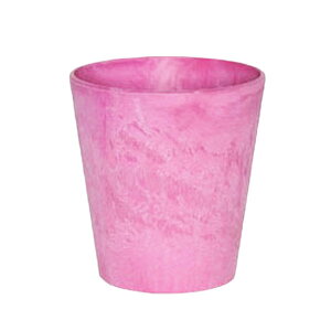 Jo[iꌊjy  A[gXg[ Eh sN F 13cmi4jy6z