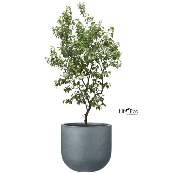 楽天市場】植木鉢 軽量大型 ポリストーンライト製 オプティマス U