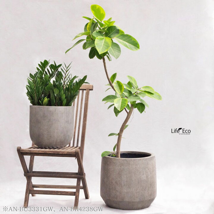 楽天市場】植木鉢 大型 ファイバーセメント製 ベルベット ラウンド 