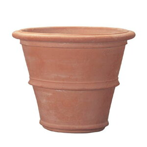 Aؔ ^ C^A eRb^ c[|bg 48cm Eh Op