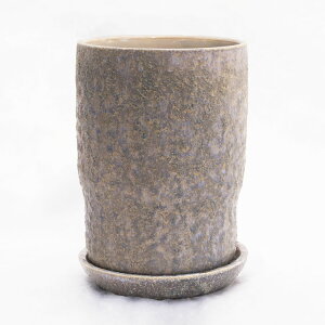 Aؔ CeA|bg oi g[ XJCO[ / 13.5cm×H18.7cmi4.5j