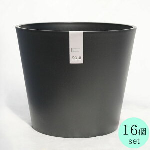 ���J�o�[ ������ �\�E�iSAW�j �R�j�b�N �u���b�N�i���j ��17cm×H15cm�i6���E6���j�y16���z