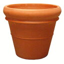 植木鉢 大型 おしゃれ イタリア製 素焼き テラコッタ鉢 リムポット 42cm（14号）