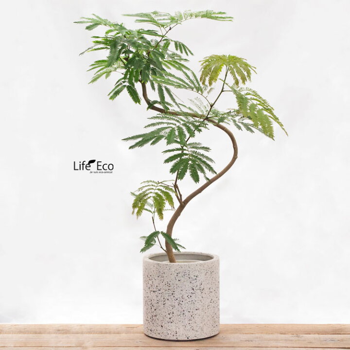 楽天市場】植木鉢 大型 軽量 ゾア シリンダー ホワイト（白）/ φ31cm