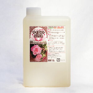 A͉tEyǍ܁E͔쉻i TCOg SUPER 1LySL@ESApz