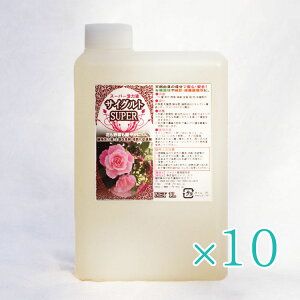 A͉tEyǍ܁E͔쉻i TCOg SUPER 1LySL@ESApz10