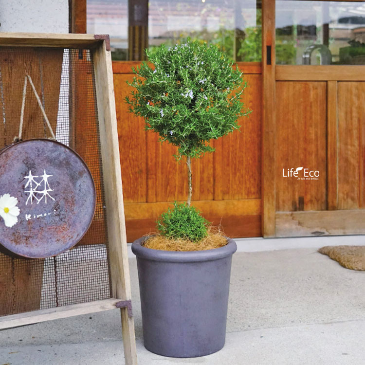 楽天市場】植木鉢 軽量大型 ファイバークレイ製 シンプルリム ラウンド