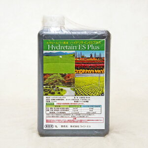 wp[t nCheCESvX 1L Ɩp ^Apyې ێ