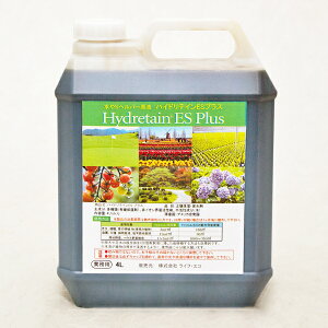 wp[t nCheCESvX 4L Ɩp ^Apyې ێ