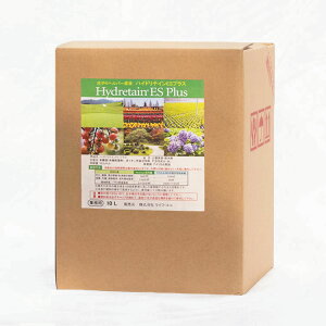 wp[t nCheCESvX 10L Ɩp ^Apyې ێ