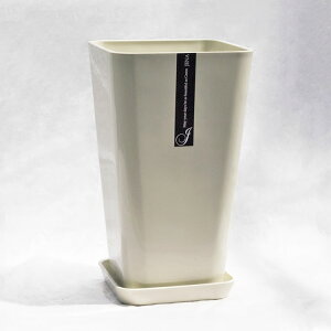 Aؔ |bg JENAiWFij XNGA[|bg VNzCgij / 21cm×H35.5cmi7jM̌^