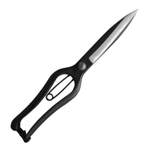 O؏ Ў芠荞 BLACKiubNEj 270mm / |EApinT~j
