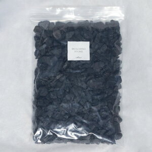 yɍڂ}`OXg[iJ[Xg[Eϐ΁jubNij 嗱 5`20mm / ϗtAAԁAA؂̊EQh~yz