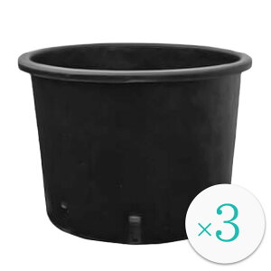 Aؔ y i[Z[|bg [^CvicA͔|ACi[|bgpj ubNij / 33cm×H26cmi11jy3z