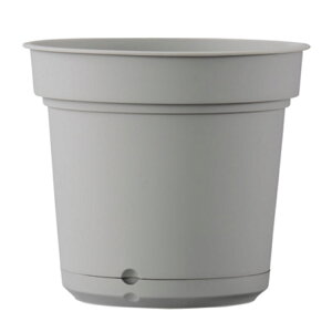 Aؔ yʁiʋ^|bgjnCh|bg O[iDj58cmi19j@\Mt