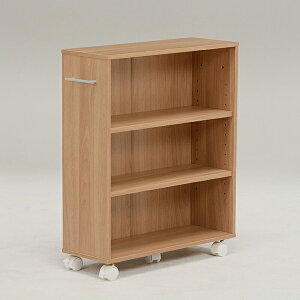 }KWbNii`j@RCC-1021NA-MԂɑeʂ̕ɖ{XgbNł܂B21cm