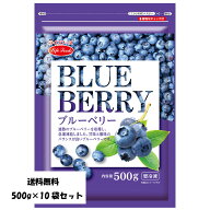 冷凍ブルーベリー ライフフーズ 500g×10袋セット