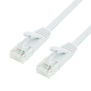 �z�[���b�N LAN�P�[�u�� UTP �J�e�S���[6A �t���b�g 5m �z���C�g LC50-038FW