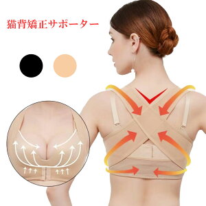 pxg ␳ w Lw u w؋T|[^[ pT|[^[  oXgAbv Ci[ {fBX[c ␳ gbvX {fBCN ɂȂ fXN[N 