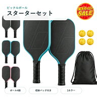 【全店限定5%OFF+次回10%OFFクーポン】ピックルボール パドルセット ラケット2本 ボール4個 収納バッグ付…