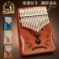 【楽天 カリンバ 1位】【天然木製17音】カリンバ 初心者セット 子供用 サムピアノ 楽譜&アクセサリ付き …