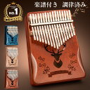 【楽天 カリンバ 1位】【天然木製17音】カリンバ 初心者セット 子供用 サムピアノ 楽譜&アクセサリ付き 日本語説明書 …