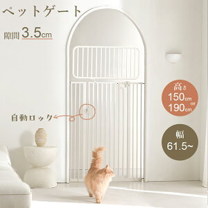 ybgQ[g L Eh~ Q[W ˂ nC^Cv Lp g   150cm 190cm L I[gN[Y E h~ щzh~ lR  ˂莮 Eoh~tFX tFX ybgtF