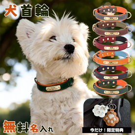 ＼限定P10倍！／ 犬 首輪 迷子札 迷子札付き 名入れ 革製 犬首輪 犬用首輪 名前入り 犬首輪名前入り 刻印 名前入れ 彫刻 可能 サイズ調整可能 犬の首輪 送料無料 おしゃれ かわいい 猫 名前入り 柔らかい オーダーメイド 迷子防止 ブランド 小型犬 小型犬用