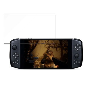 �y�[�p�[���C�N �t�B���� AYANEO 2021 Pro ������ �t�� �ی�t�B���� �y���̂悤�ȏ����S�n�z ���˒ጸ ���{��