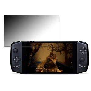 �y�|�C���g2�{�z 180�x �`�����h�~ �t�B���� AYANEO 2021 Pro ������ �ی�t�B���� �ȖʑΉ� �u���[���C�g�J�b�g �y���˒ጸ�z ���{��