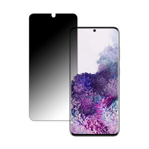 s|Cg2{t TX Galaxy S20  y180x ȖʑΉz `h~ tB u[CgJbg A`OA {