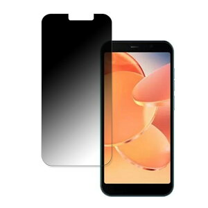 �y�|�C���g2�{�z DOOGEE X97 Pro ������ �y360�x�z �`�����h�~ �t�B���� �u���[���C�g�J�b�g ���{��