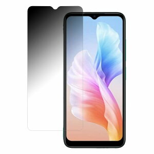 �y�|�C���g2�{�z DOOGEE X98 Pro ������ �y180�x �ȖʑΉ��z �`�����h�~ �t�B���� �u���[���C�g�J�b�g �A���`�O���A ���{��