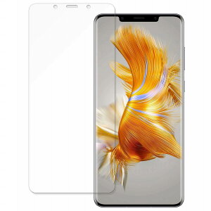 �y�|�C���g2�{�z HUAWEI Mate 50 Pro Kunlun Glass ������ �ی�t�B���� �y����d�l�z �u���[���C�g�J�b�g �t�B���� ���{��