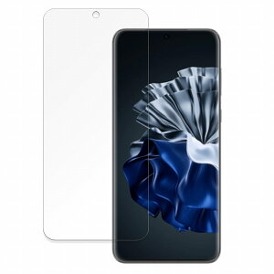 HUAWEI P60 Pro ������ �ی�t�B���� �y�ȖʑΉ� ���˒ጸ�z �u���[���C�g�J�b�g �t�B���� �L�Y�C�� ���{��