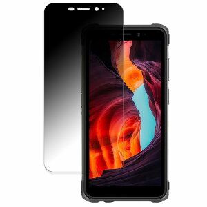 y|Cg2{z Ulefone Armor X10 Pro  y180x ȖʑΉz `h~ tB u[CgJbg A`OA {