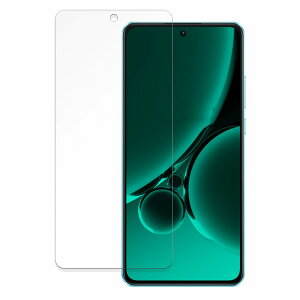 OnePlus Nord CE3 5G ������ �ی�t�B���� �y�ȖʑΉ� ���˒ጸ�z �L�Y�C�� ���{��