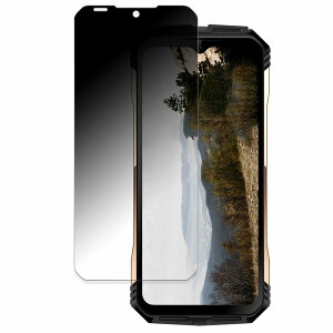 DOOGEE S110 ������ �y180�x �ȖʑΉ��z �`�����h�~ �t�B���� �u���[���C�g�J�b�g �A���`�O���A ���{��