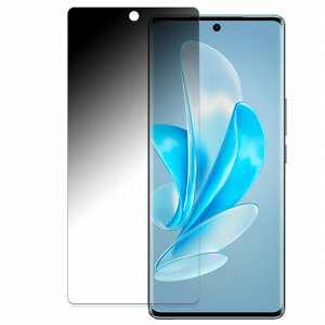 vivo V29 5G ������ �y180�x �ȖʑΉ��z �`�����h�~ �t�B���� �u���[���C�g�J�b�g ����d�l ���{��