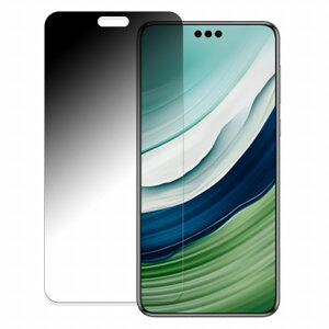 HUAWEI Mate 60 Pro  y180x ȖʑΉz `h~ tB u[CgJbg A`OA {