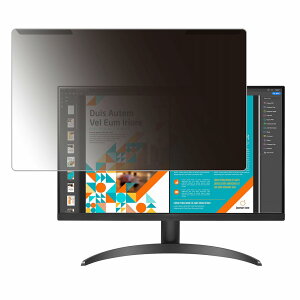 ���O���ȒP LG 24QP500-B 23.8�C���` 16:9 ������ �`�����h�~ �v���C�o�V�[ �t�B���^�[ ����d�l �t���ی� �v���e�N�^�[