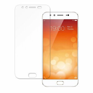 �ی�t�B���� vivo X9Plus ������ �u���[���C�g�J�b�g �t�B���� �ȖʑΉ� �y���˒ጸ�z ���{��